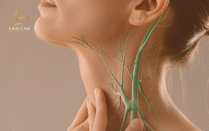 Minh họa hệ bạch huyết ở vùng cổ, dùng trong liệu trình massage dẫn lưu hệ bạch huyết tại Sam Sam Beauty