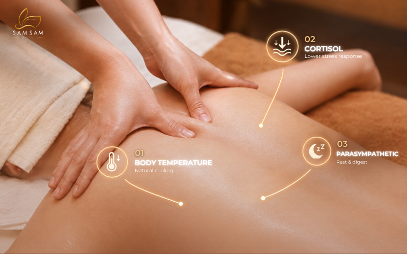 Deep-pressure massage technique used to lower cortisol at night